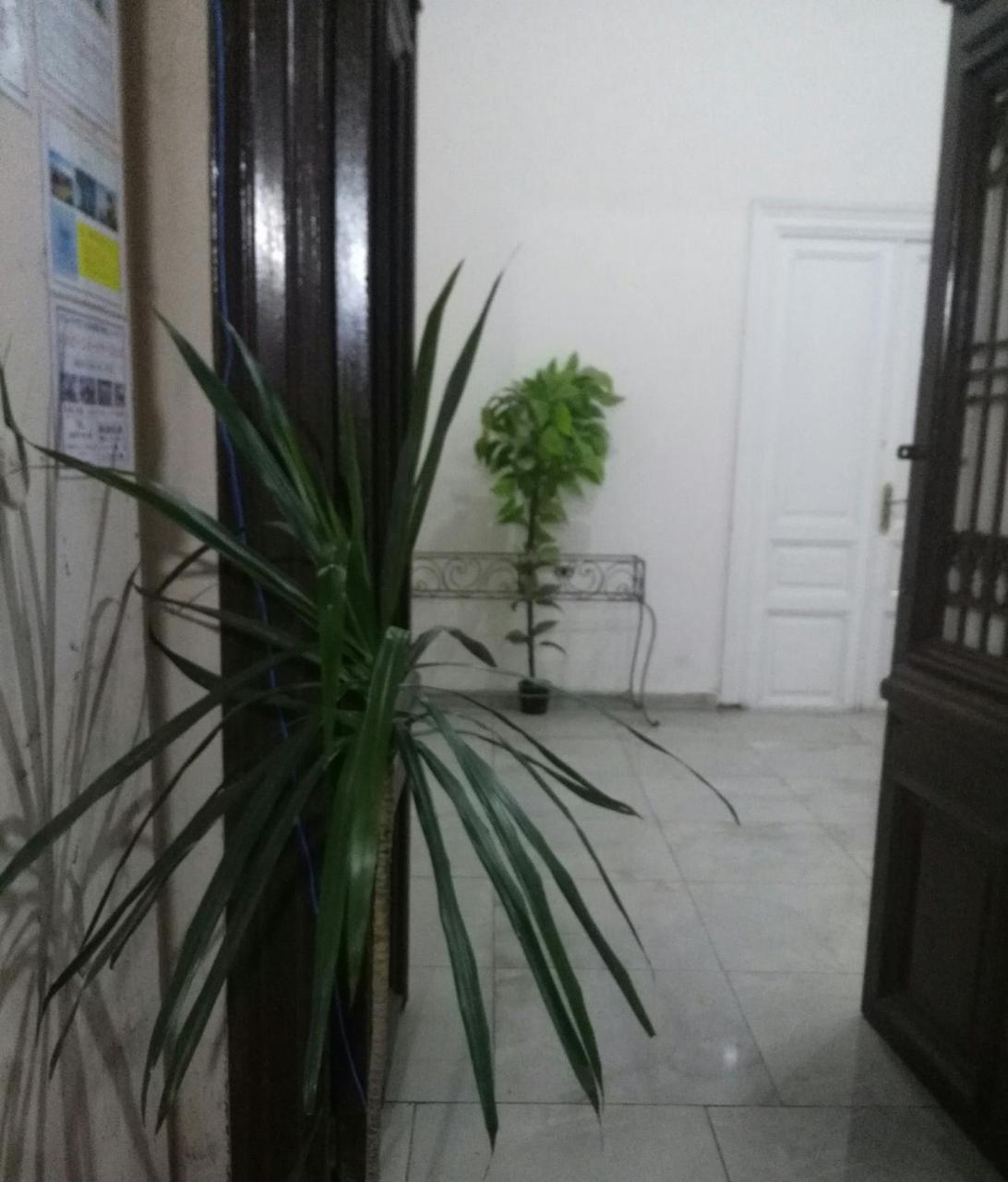 Safary Hostel Кайро Екстериор снимка